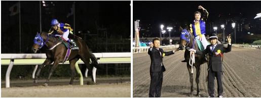 Watts Village Conquers Ohi (Pic: keiba.co.jp_)