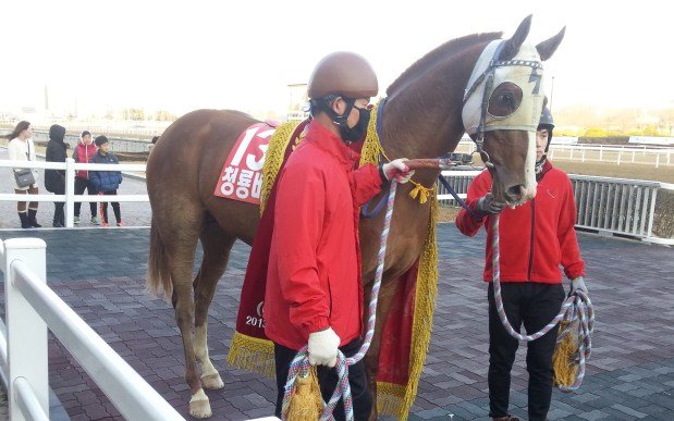 Cheongnyong Bisang stands to attention after becoming champion juvenile. He'll have plenty of supporters in the KRA Cup Mile
