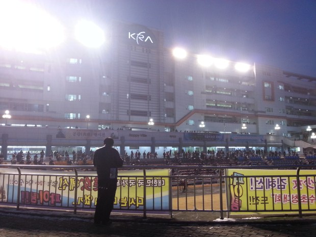 Parading for the last race of the year at a dark and cold Seoul Racecourse