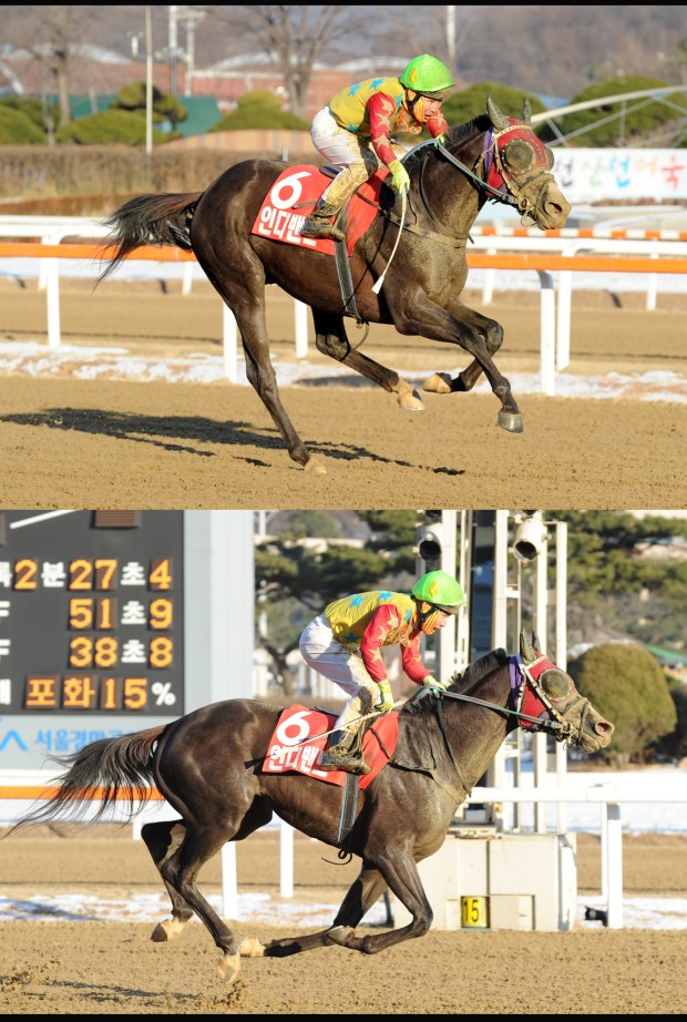 Indie Band and Lim Sung Sil win the Grand Prix (Pic: Ross Holburt)