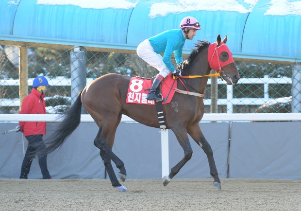 Darryll Holland (Pic: Ross Holburt)