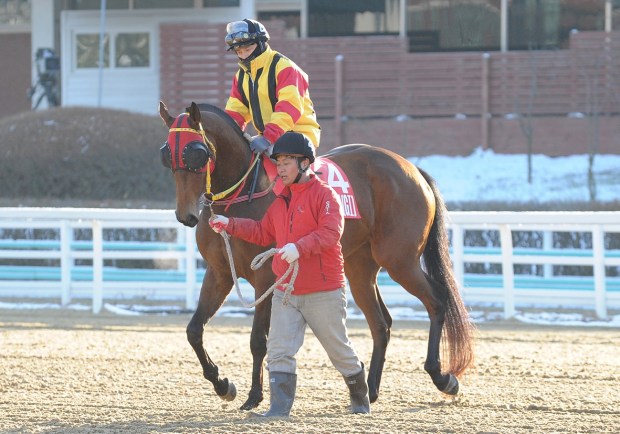 Indian Blue & Ikuyasu Kurakane