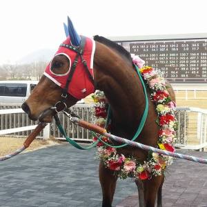 Fly Top Queen was back in the winner's circle