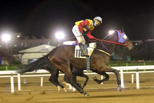 Smarty Moonhak's final win (KRA)