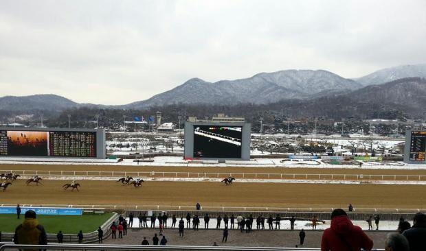 We could be seeing scenes like this at the track soon