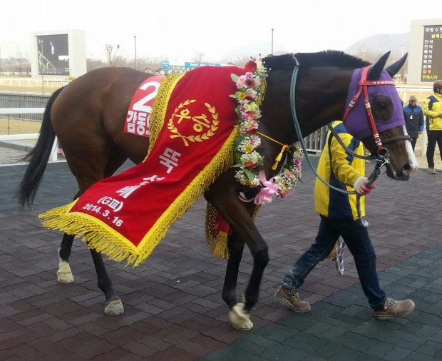 Gamdonguibada won the Ttukseom Cup, the first leg of the Queens' Tour