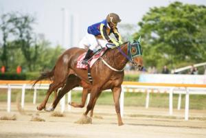Seo Seung Un looks around to see if he and Joy Lucky have won the Owners' Trophy (KRA)