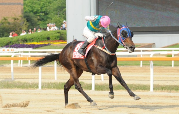 Nothing else in sight. Kim Yong Geun and Queen's Blade win the 2014 Korean Derby (Pic: Ross Holburt)