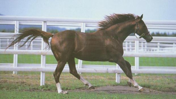 Commendable 1997-2014 (KRA)