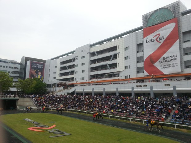 As a wise man rcently said, You Run, I'll Bet...