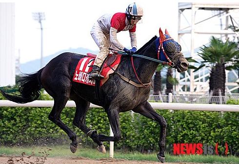 Nobody Catch Me and Yang Young Nam win the Busan Metropolitan (Newsis)