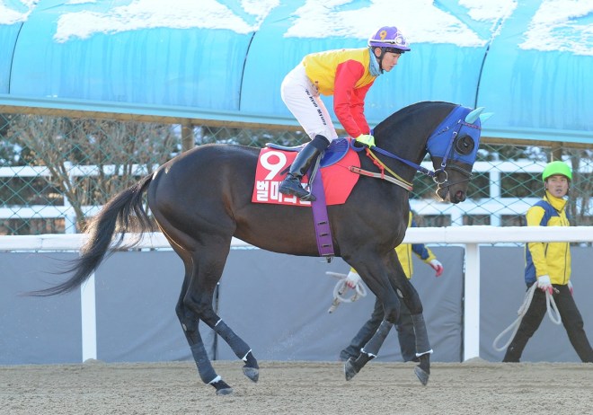 Beolmaui Kkum was a winner on Sunday (Pic: Ross Holburt)