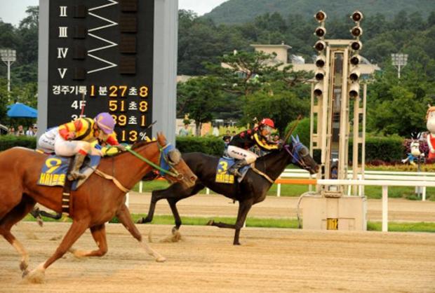 Pinot Noir and Park Hyun Woo win the Horse Racing Ireland Trophy (KRA)
