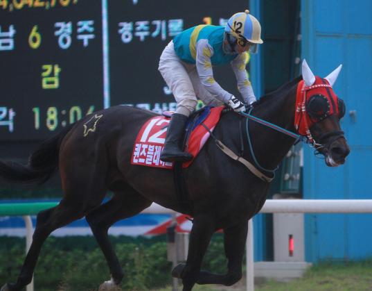 Queen's Blade and Kim Yong Geun win the Korean Oaks (KRA).