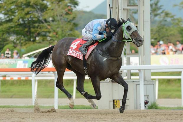 El Padrino wins the 2014 Asia Challenge Cup  (Pic: Elan959)