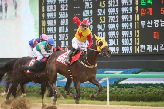 Hangangui Gijeok and You Hyun Myung win the Owners' Cup at Busan. Can they add a President's Cup too? (KRA)