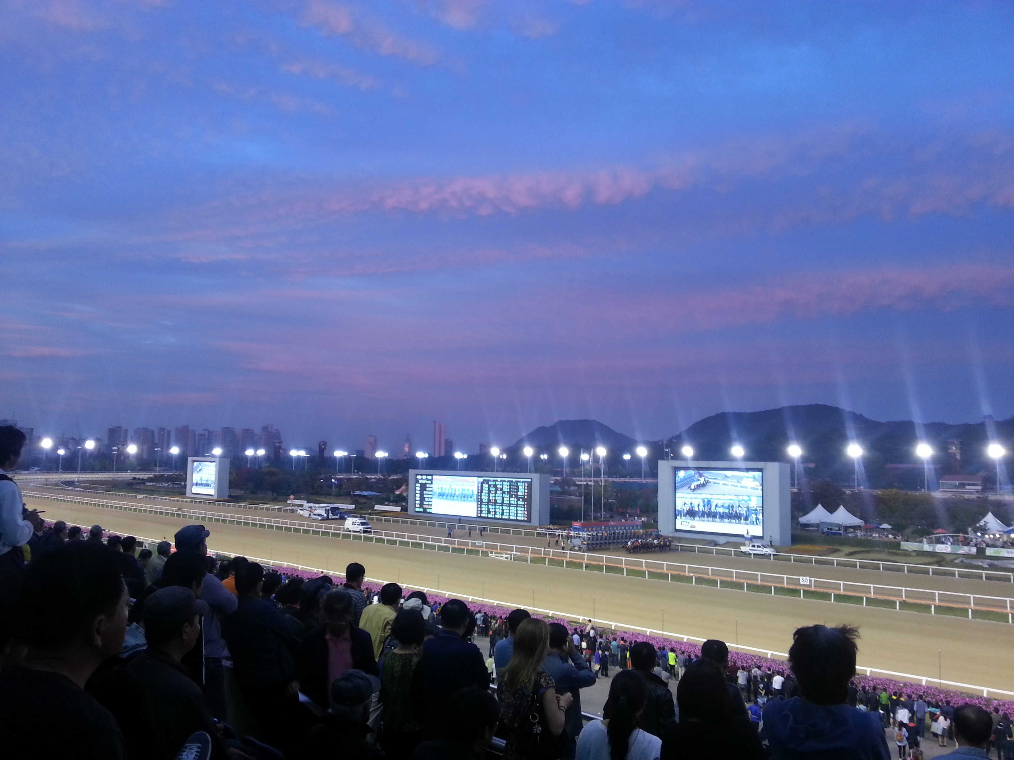 wpid-20141012_180605.jpg