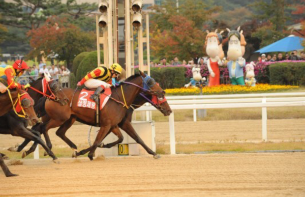 Samjeong Jewang just gets up to beat Rush Forth (obscured) in the KRA Cup Classic (Pic: KRA)