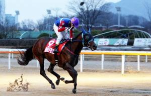 Doraon Hyeonpyo, seen here winning last year's Breeders' Cup, got back to winning ways last weekend (Pic: KRA)