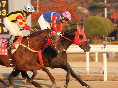 Gyeongbudaero (far side) just edges Best Captain in the President's Cup (Pic: KRA)