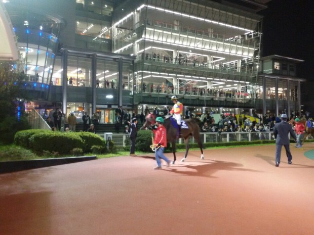 Here He Comes and Moon Se Young in the Ohi paddock (Pic: KRA)