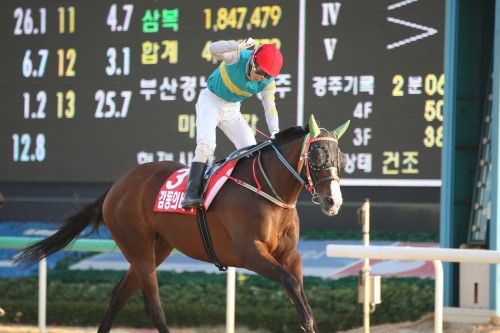 Gamdonguibdada wins the Gyeongnam Governor's Cup (Pic: KRA)