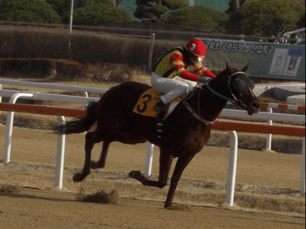 Yeoui King takes Ikuyasu Kurakane to winner 99 of the year (Picture: Hiromi Kobayashi)