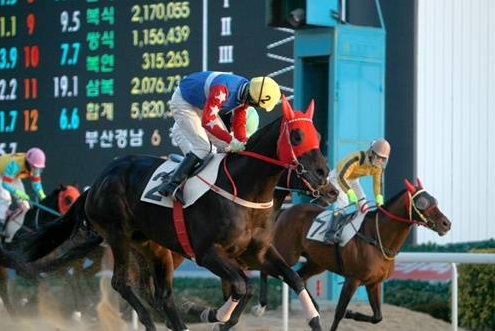 Gyeongbudaero and Choi Si Dae win at Busan on Sunday (Pic: KRA)