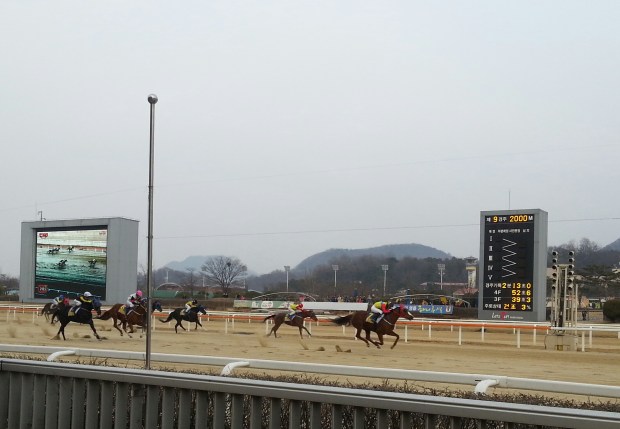 Cheonnyeon Dongan and Moon Se Young win the Donga Ilbo 
