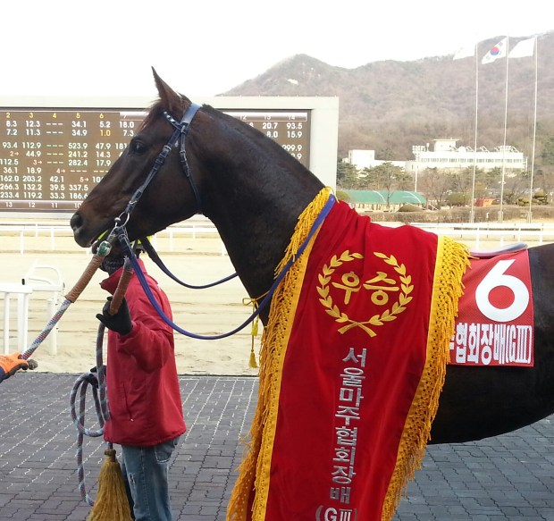 Namhae Daewang stands to attention in the Owners' Trophy winner's circle