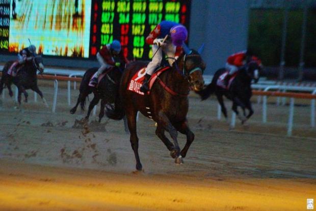 Doraon Hyeonpyo wins the Seoul Breeders' Cup in the gloom last November. Can he win the KRA Cup Mile too? (Pic: choi9036903 blog)