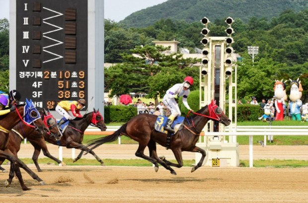 Areumdaundonghaeng and Song Jae Chul win the YTN Cup (Pic: KRA)