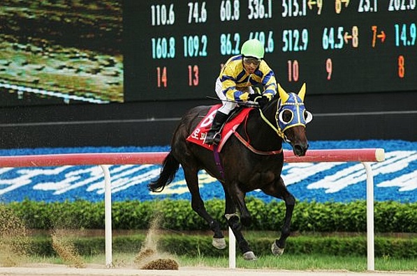 Eurofighter was the last filly from Seoul to win the Korean Oaks 