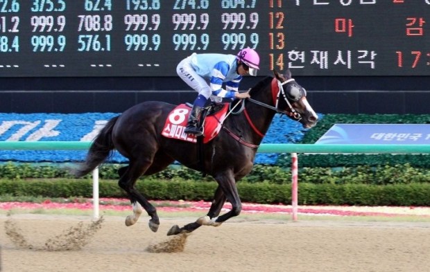 Joe Fujii and Speedy First winning the Oaks in 2013