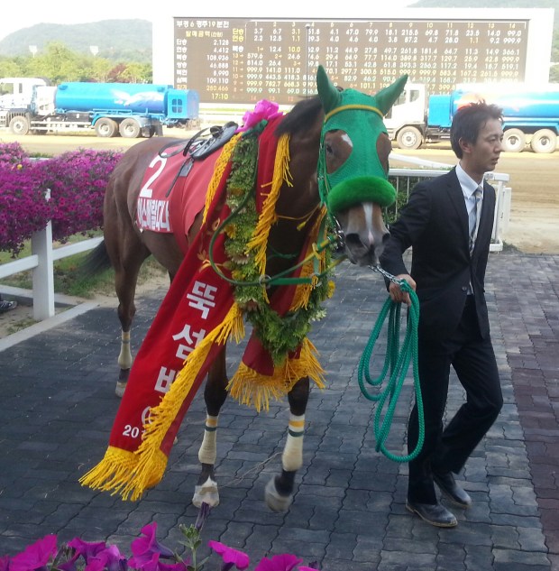 Esmeraldina and smartly dressed travelling head lad in the winner's circle