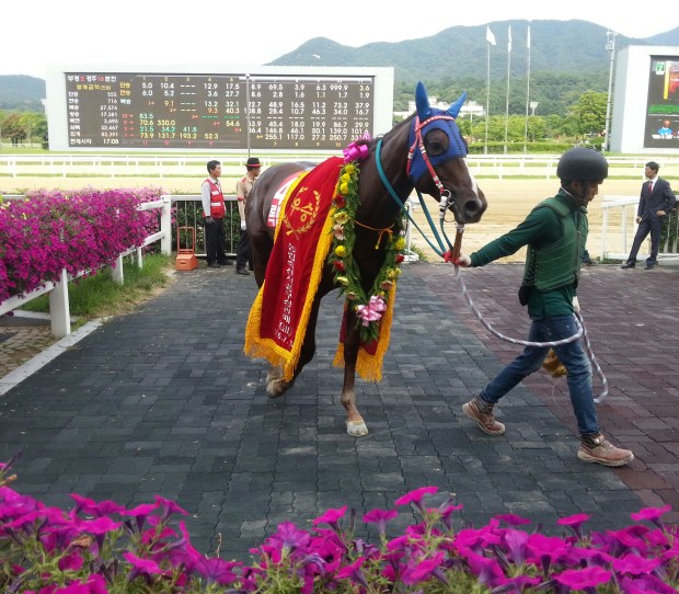 Rock Band in the Minister's Cup winner's circle