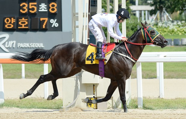 Kim Dong Soo wins round 1 on Nabom (Pic: Ross Holburt)