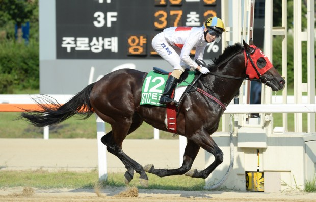 Hong Kong's Jack Wong wins the Singapore Turf Club Trophy on Yeondu (Pic: Ross Holburt)