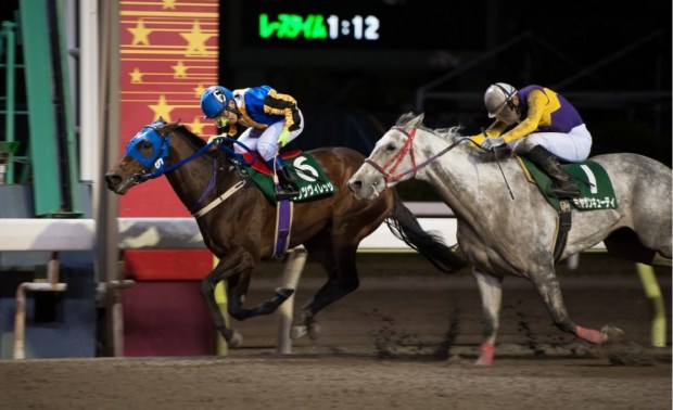 Watts Village winning the 2013 Interaction Cup in Japan (Pic: keiba.co.jp)