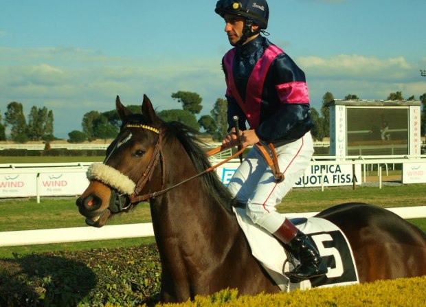 Pasquale Borelli is set for Busan (Pic: Supplied)