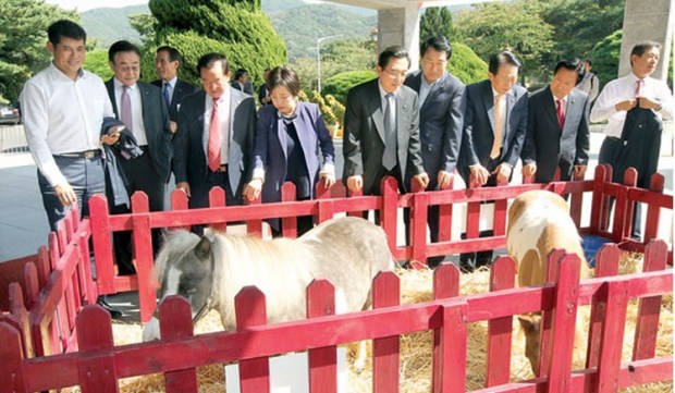 Ponies! The big ammunition was rolled out for the National Assembly visit on Monday (Pic: Agrinet)
