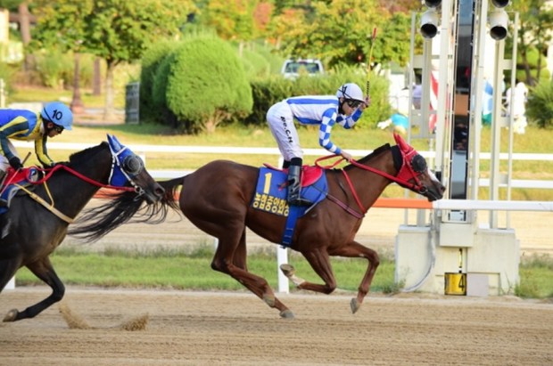 Cheonnyeon Dongan and Lee Chan Ho win the NACF Chairman's Race (Pic: KRA)
