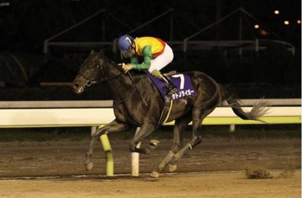 Satono Tiger goes clear (Pic: sanspo.com)