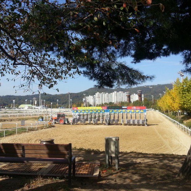 It is set to be a bright but chilly weekend