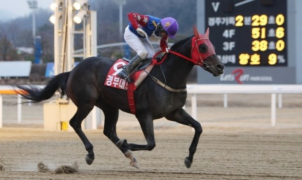 Gyeongbudaero won the President's Cup and Grand Prix last year. Triple Nine aims to do the same this (Pic: KRA)