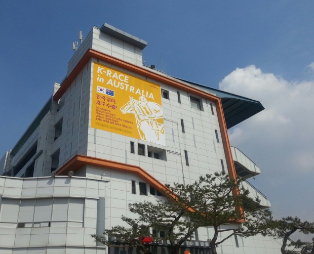 The grandstand at Seoul - three more races will be shown in Australia from the capital on Sunday