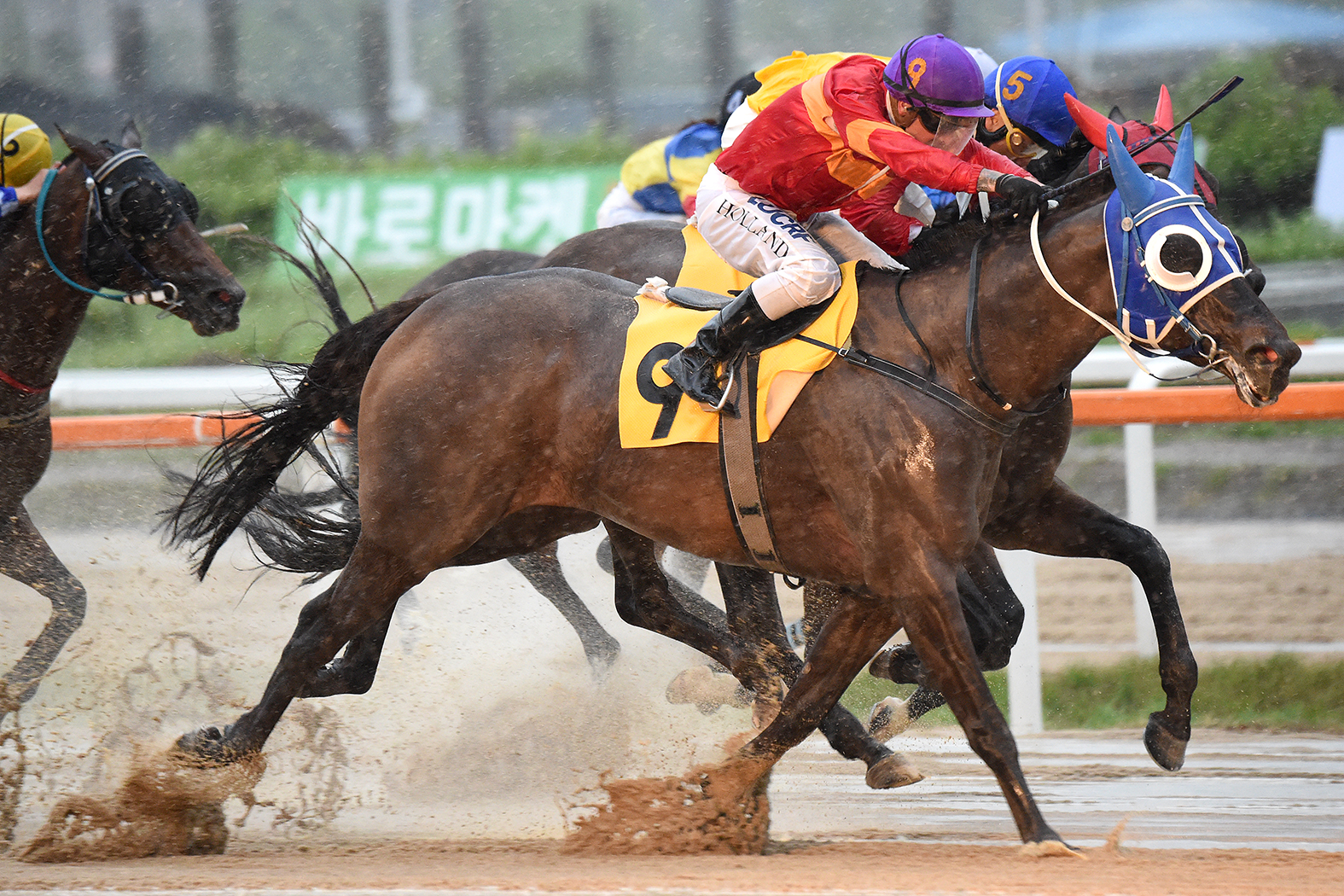 Brian Dean Trains First Korean Winner | Horse Racing in Korea
