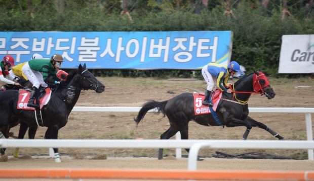 beolmaui-kkum-korea-cup-lead