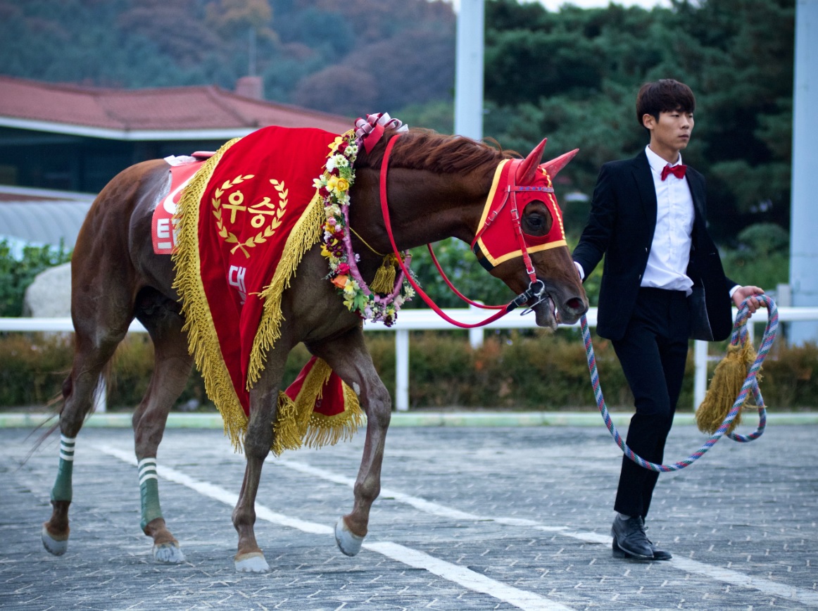 triple-nine-1-alex-cairns