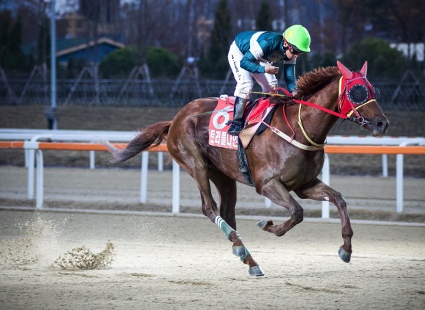 triple-nine-2-alex-cairns